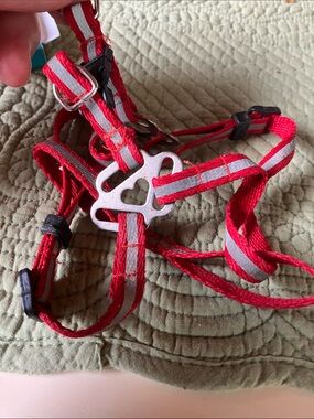Cat harness full reflective with leash hooks